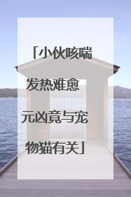 小伙咳喘发热难愈 元凶竟与宠物猫有关